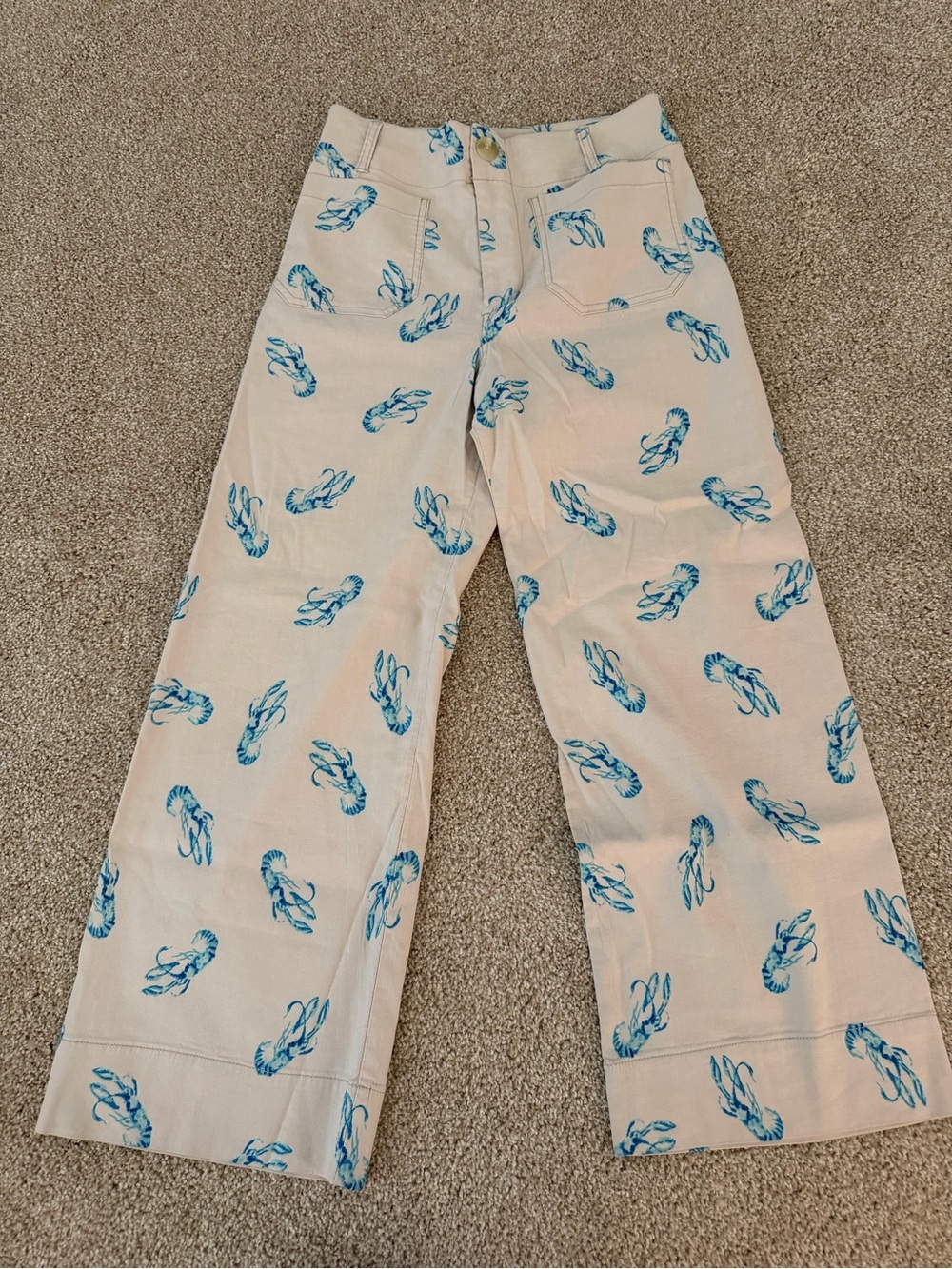 Anthropologie Maeve Colette Lobster Pants Size 26 Excellent condition! - Picture 3 of 4